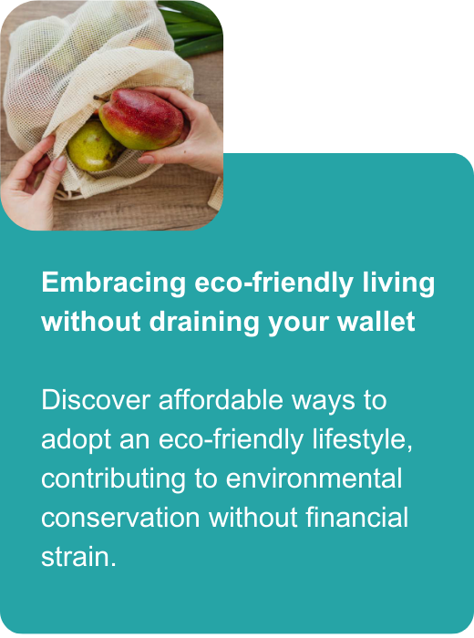 Embracing eco-friendly living in an affordable way